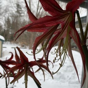 Meet your Posher, Terrie